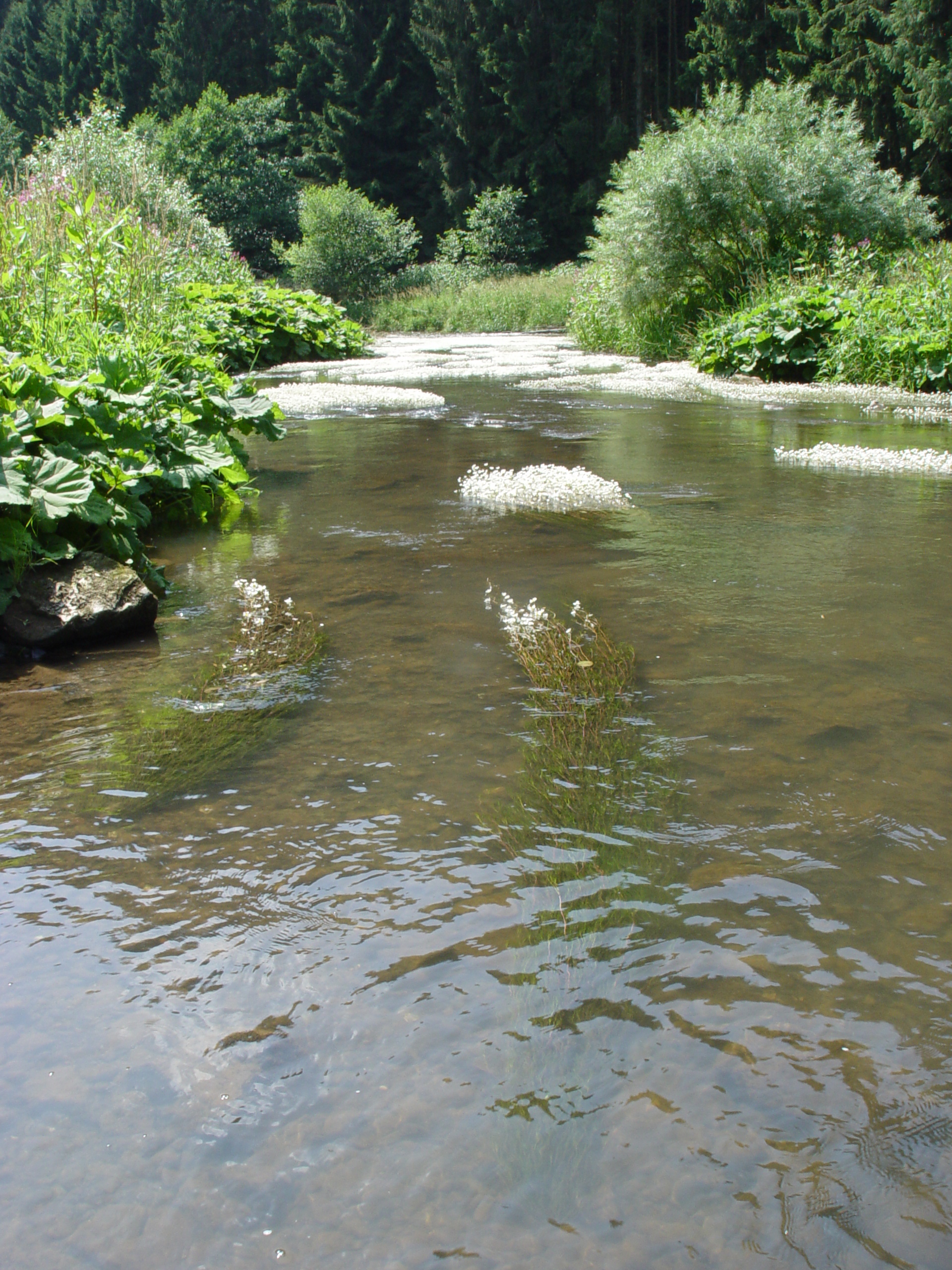 Nature Park South Eifel Retreats